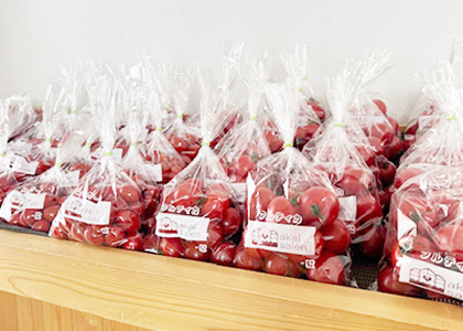 別注野菜袋パッケージの陳列例